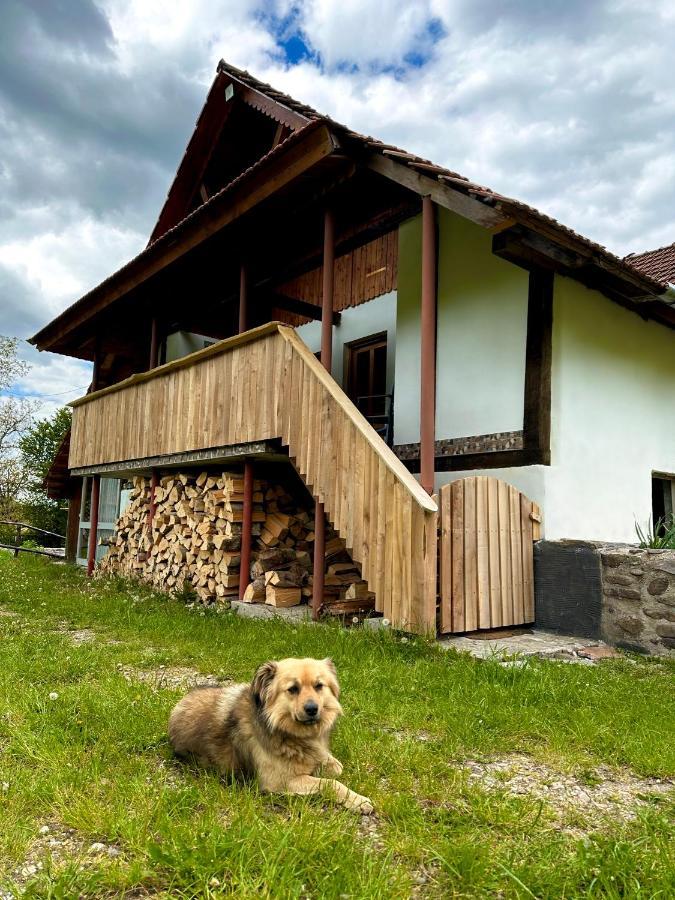 Casa Aurelia Hotel Chiscau Buitenkant foto